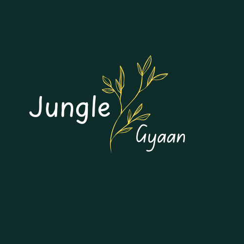 Jungle Gyaan logo with the text “Jungle Gyaan” and a yellow leaf symbol, representing wildlife education and nature awareness